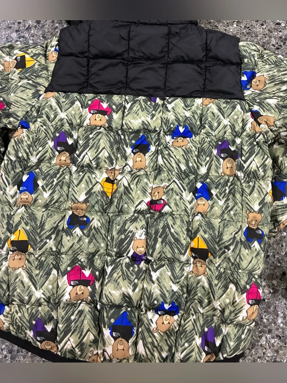 The North Face includes north